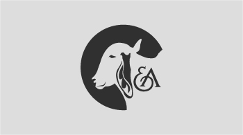 Creación de Logo EA Empresa Ganadera - Diseño de identidad visual única